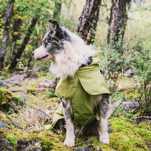 Cozy Adjustable Waterproof Dog Jacket – Stylish Green Vest for Small Dogs