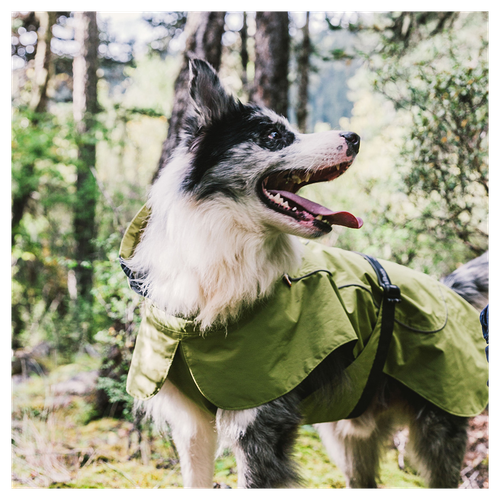 Cozy Adjustable Waterproof Dog Jacket – Stylish Green Vest for Small Dogs