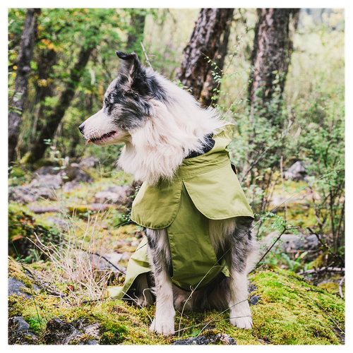 Cozy Adjustable Waterproof Dog Jacket – Stylish Green Vest for Small Dogs