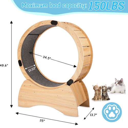 KittyFit Cat Exercise Wheel – Fun, Safe, and Eco-Friendly Fitness for Cats!