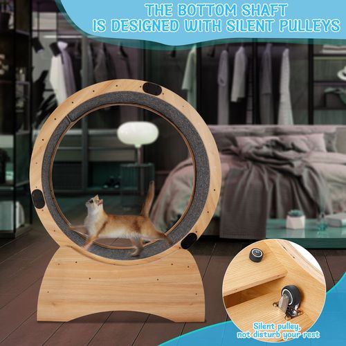 KittyFit Cat Exercise Wheel – Fun, Safe, and Eco-Friendly Fitness for Cats!