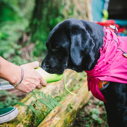 Cozy & Waterproof Dog Coat - Adjustable Pink Sport Vest for Small Dogs